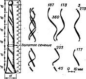 Клич Феникса image011.jpg