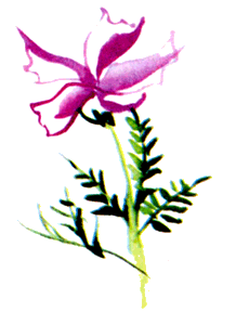 Байкала-озера сказки Том II разд.1 i_101.png
