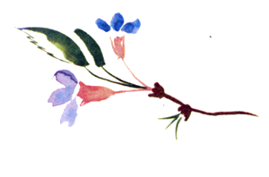 Байкала-озера сказки Том II разд.1 i_114.png