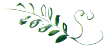 Байкала-озера сказки Том II  разд.1 i_053.png