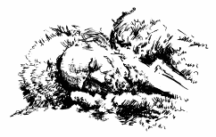 Время крови i_019.png