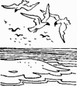 Девочка в бурном море. Часть 1. Антошка i_054.png
