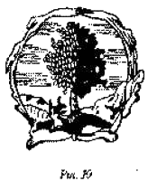 Тайны гибели цивилизаций i_010.png