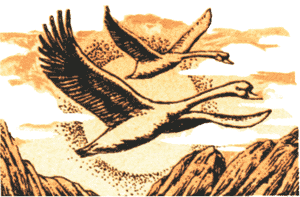 Байкальский вариант sm78_06b.png