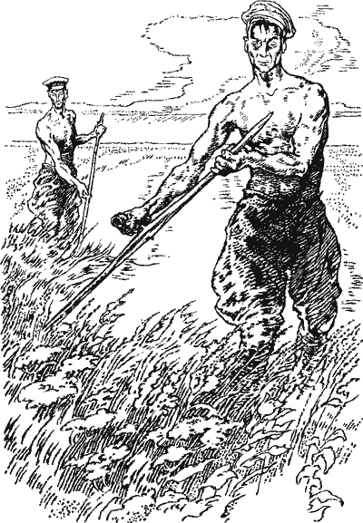 Грозовая степь i_006.png