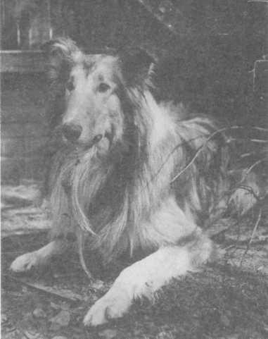 Без знаков препинания Дневник 1974-1994 img_70.jpeg