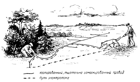 Содержание и дрессировка служебных собак i_047.png