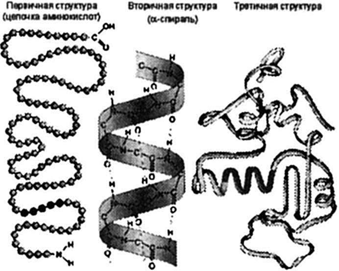 «… я восхищаюсь делами рук Твоих» img_13.jpeg