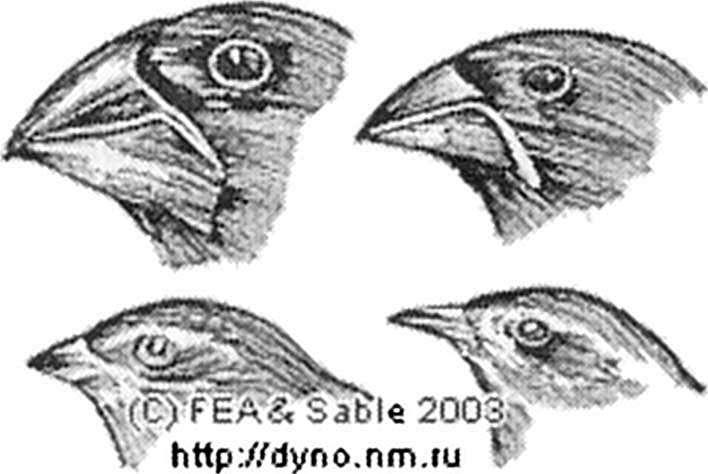 «… я восхищаюсь делами рук Твоих» img_2.jpeg