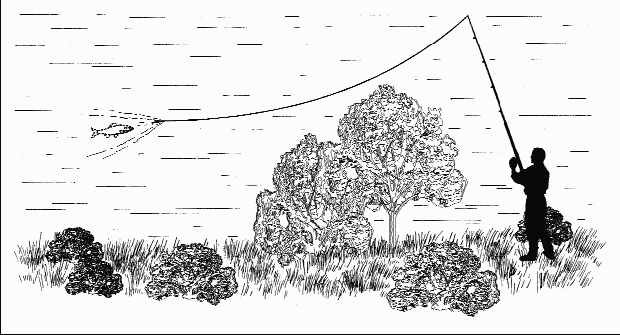 Как правильно ловить рыбу спиннингом i_054.png