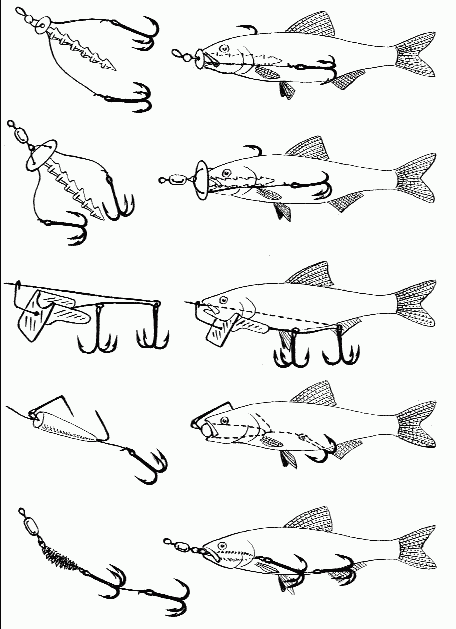 Как правильно ловить рыбу спиннингом i_097.png
