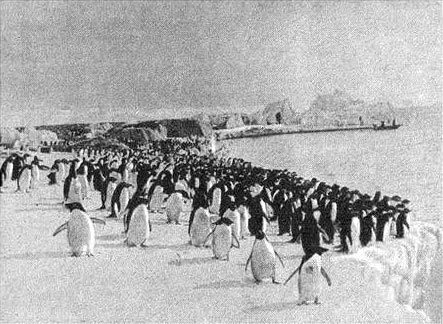 Антарктическая одиссея (Северная партия экспедиции Р. Скотта) i_077.jpg