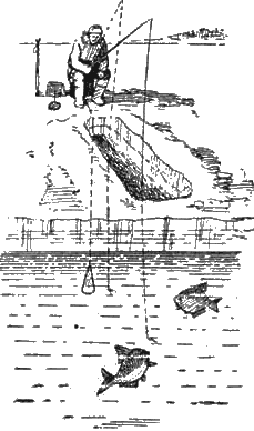 Подледная ловля рыбы pic_41.png