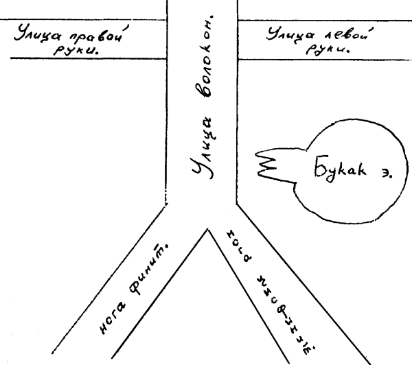 Лапа _1.png