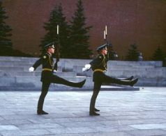 «Я просто применяю здравый смысл к общеизвестным фактам» — 2 pic_40.jpg