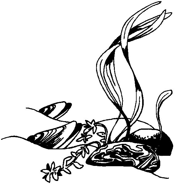 Летящие к северу pic01.png