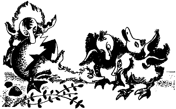 Летящие к северу pic02.png