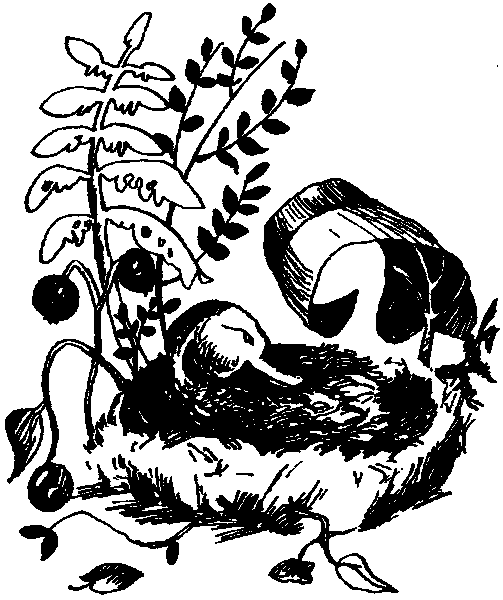 Летящие к северу pic03.png