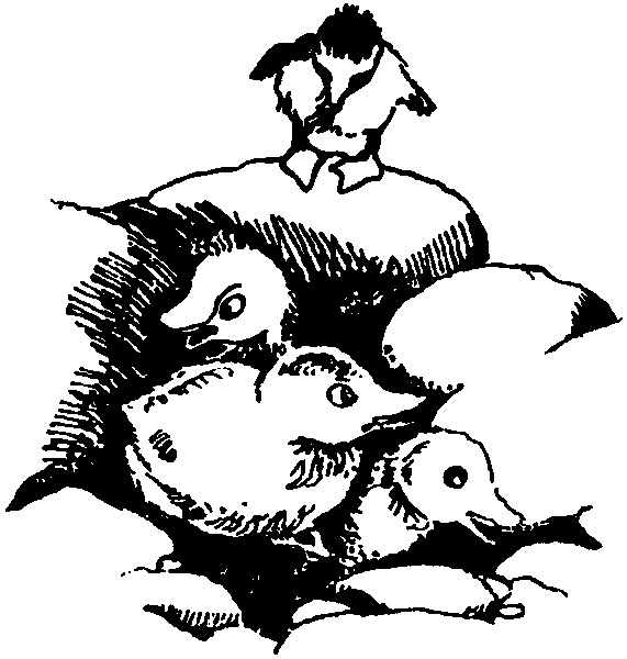 Летящие к северу pic04.png