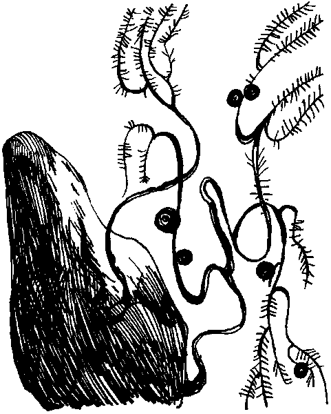 Летящие к северу pic06.png