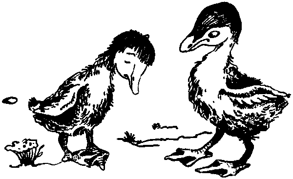 Летящие к северу pic32.png