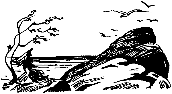 Летящие к северу pic33.png