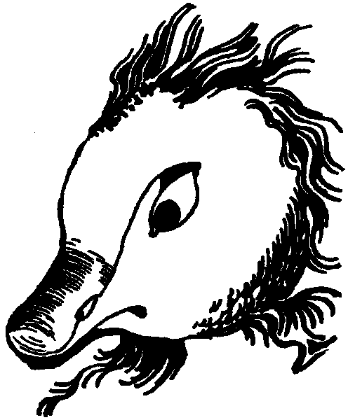 Летящие к северу pic34.png