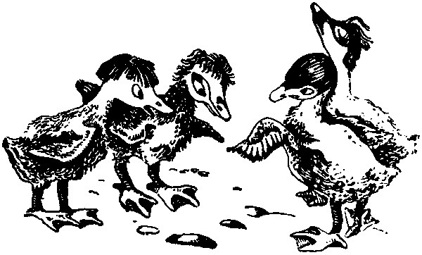 Летящие к северу pic35.png