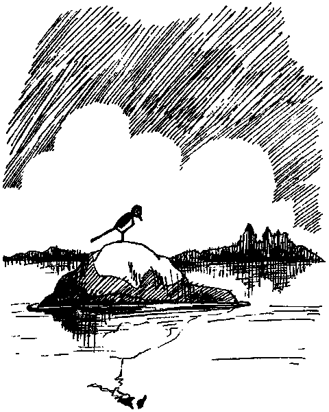 Летящие к северу pic36.png