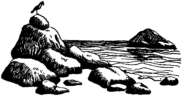 Летящие к северу pic38.png