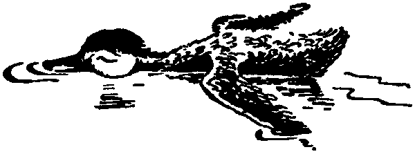 Летящие к северу pic42.png