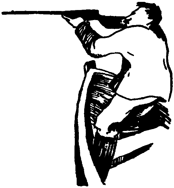Летящие к северу pic43.png
