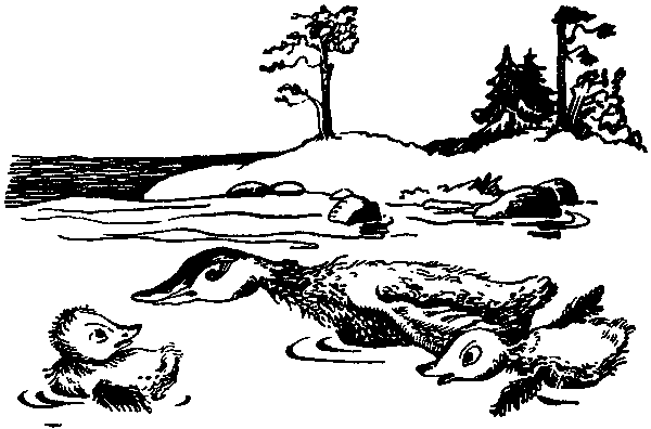 Летящие к северу pic44.png