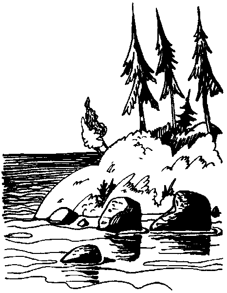 Летящие к северу pic46.png