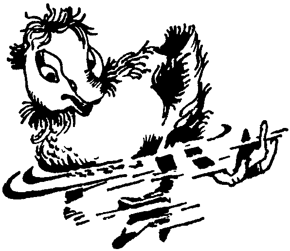 Летящие к северу pic47.png
