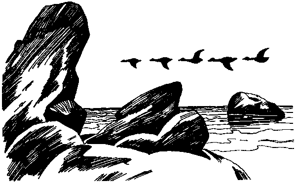Летящие к северу pic48.png
