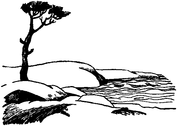 Летящие к северу pic11.png