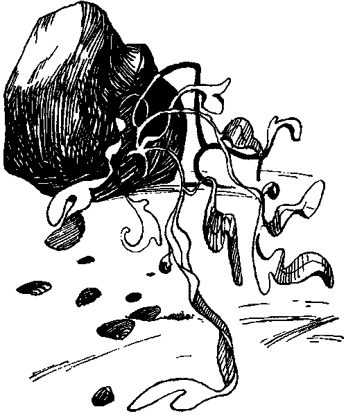 Летящие к северу pic12.png
