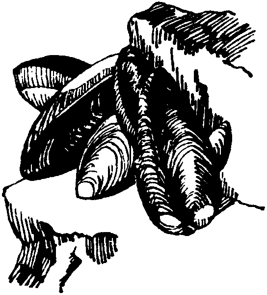 Летящие к северу pic14.png