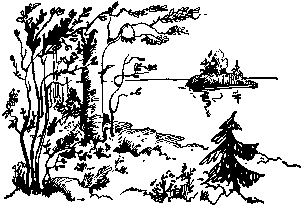 Летящие к северу pic23.png