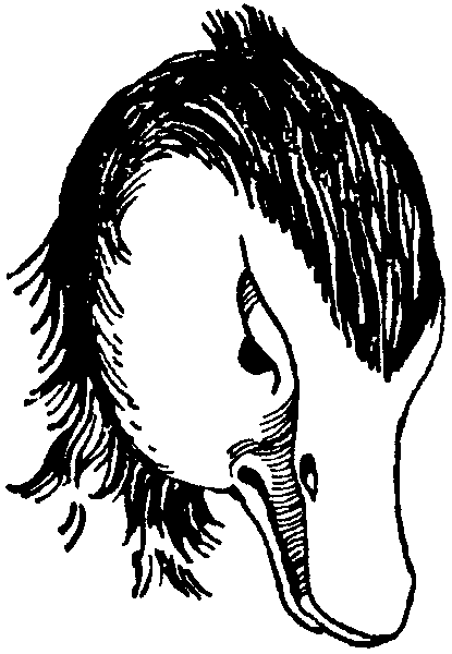 Летящие к северу pic24.png