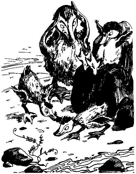 Летящие к северу pic25.png
