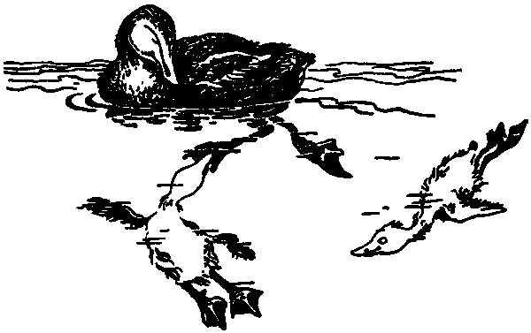 Летящие к северу pic26.png