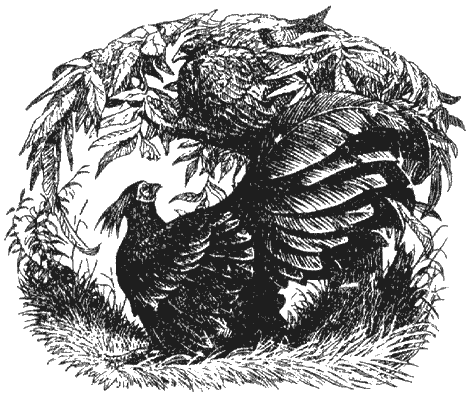 Кумаонские людоеды i_015.png