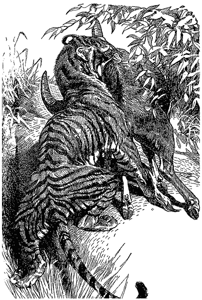 Кумаонские людоеды i_017.png