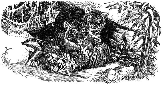 Кумаонские людоеды i_025.png