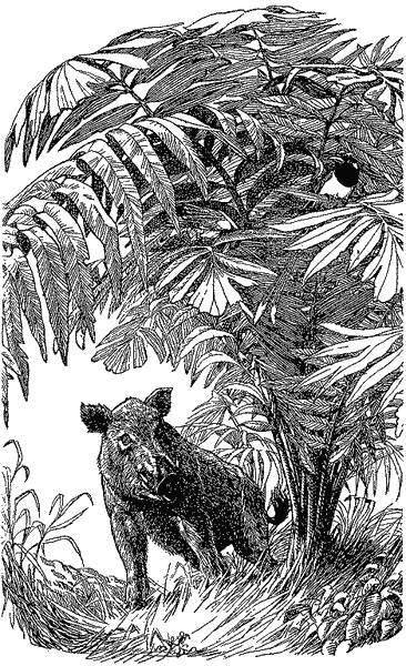 Кумаонские людоеды i_026.png