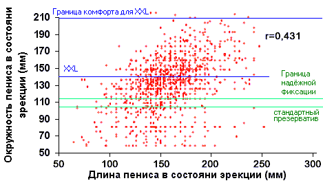 Фаллос как зеркало иерархии r1.png
