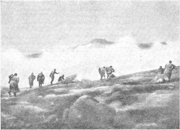 Победа Советской Армии в Заполярье (Десятый удар, 1944 год) i_019.jpg