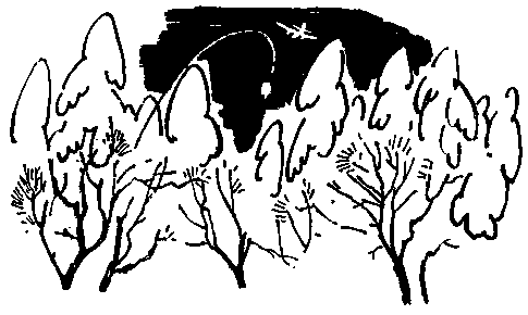 Юрка Гусь (с илл.) pic_10.png